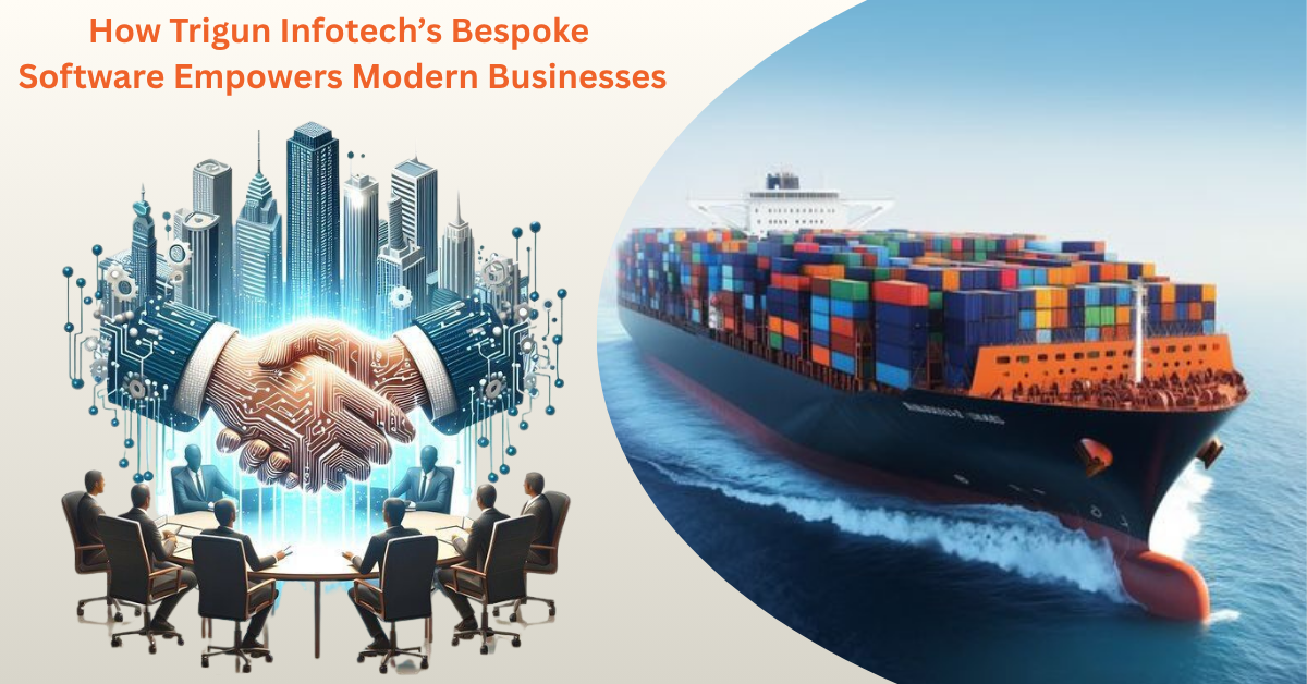 “Custom bespoke software solution powering modern business growth”